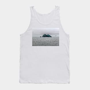 Gulls on Bay Tank Top